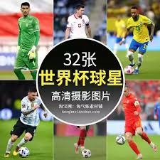 估赔率与胜